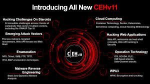 Certified Ethical Hacking & Cybersecurity Program